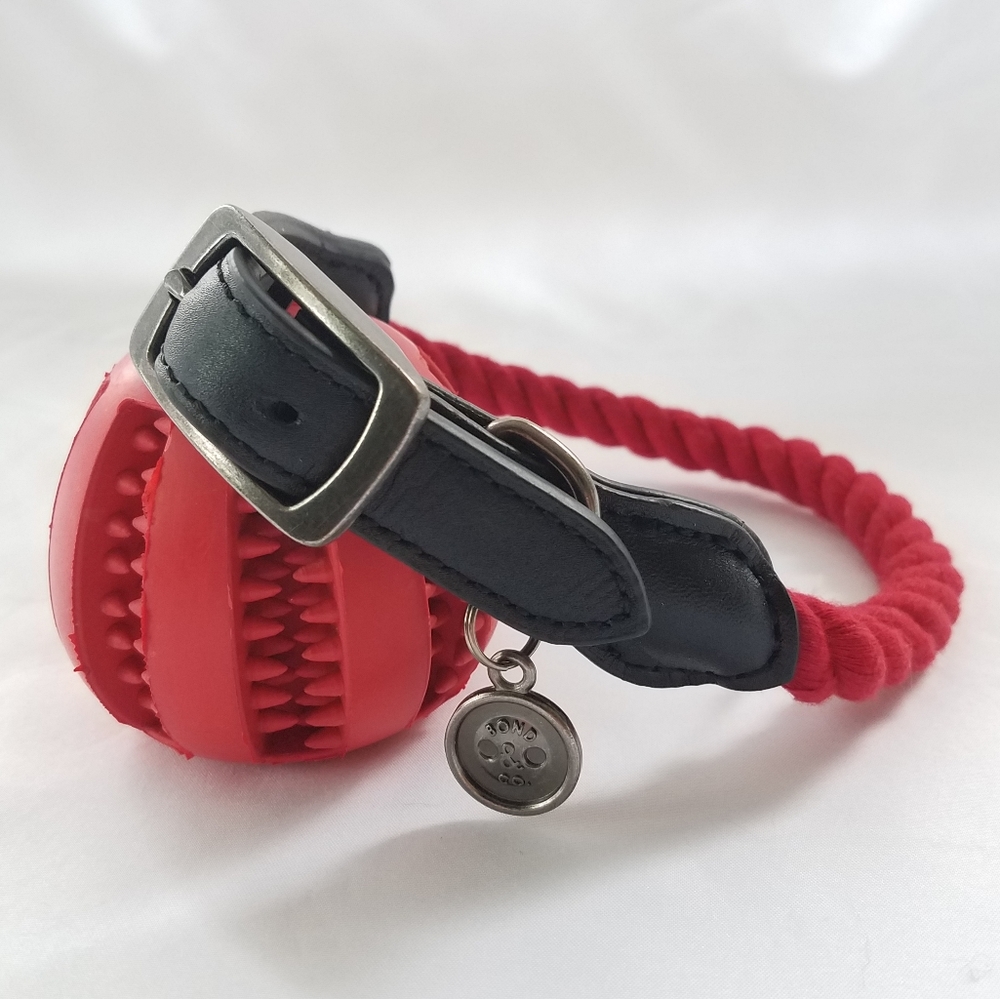 Dog collar and rubber chew toy